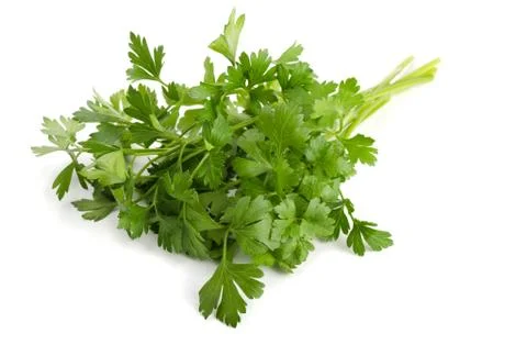 Parsley Stock Photos