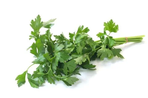 Parsley Stock Photos