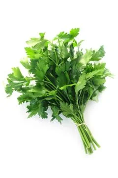 Parsley Stock Photos