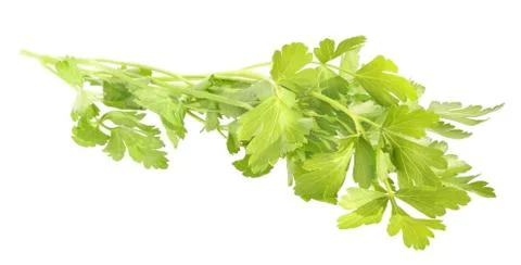 Parsley Stock Photos