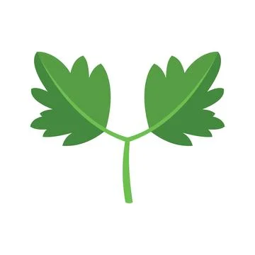 Parsley plant icon flat vector. Leaf herb Stock Illustration