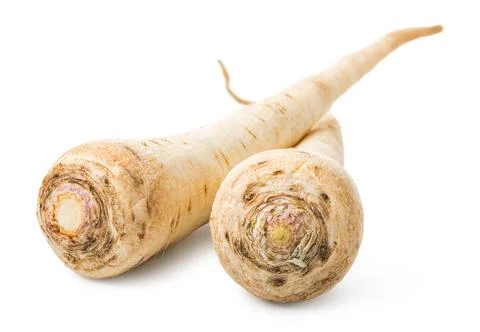 Parsley root close up Stock Photos