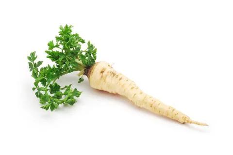 Parsley root Stock Photos