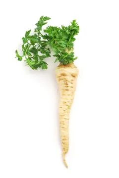 Parsley root Stock Photos