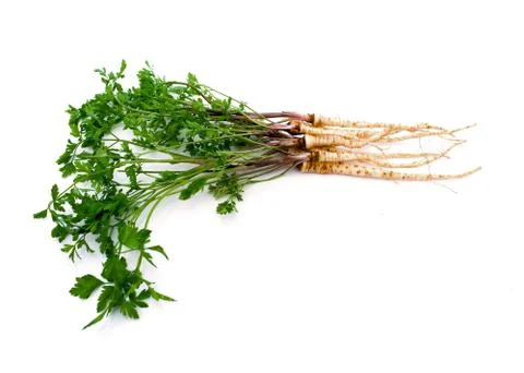 Parsley root Stock Photos