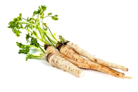 Parsley root Stock-Fotos