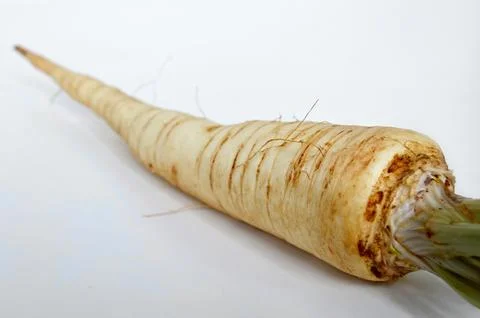 Parsley root Stock Photos