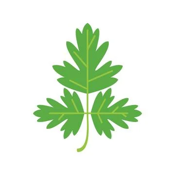 Parsley salad icon flat vector. Leaf herb Stock Illustration