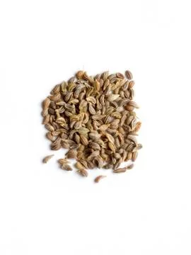 Parsley seed Stock Photos