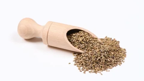 Parsley seeds close up. Side view. Stock Footage 194434265