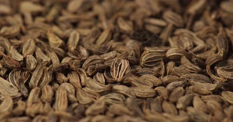 Parsley seeds closeup rotating selective focus Stock Footage 168480659