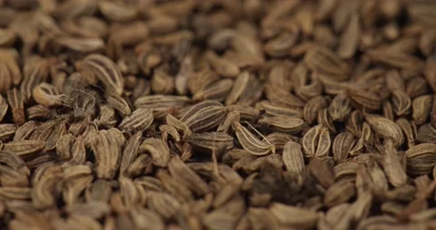 Parsley seeds closeup rotating selective focus Stock Footage 169849956