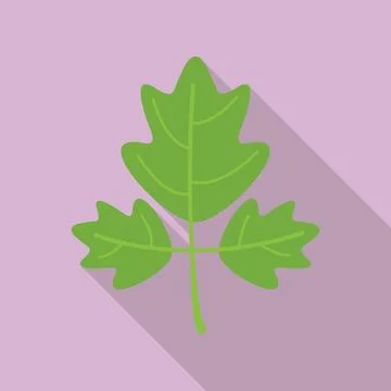 Parsley thyme icon flat . Leaf herb Stock Illustration
