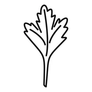 Parsley thyme icon outline . Leaf herb Stock Illustration