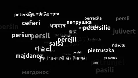 Parsley Translated in 55 Worldwide Languages Endless Looping 3d Zooming Wordc Stockbeeldmateriaal 145223334