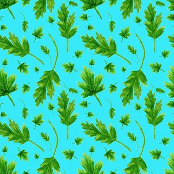 Parsley on a turquoise background. Seamless pattern. Stock Illustration