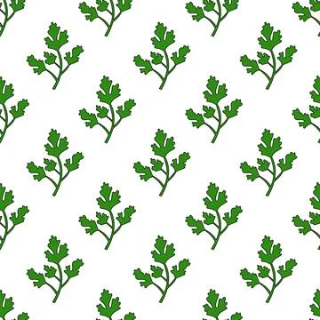 Parsley twig Seamless Pattern. Spice, condiment and herb. Stock Illustration