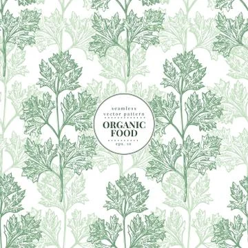 Parsley. Vector seamless pattern for design menu, packaging and recipes. Hand Stock Illustration