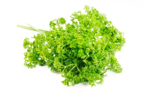 Parsley vegetable Stock Photos