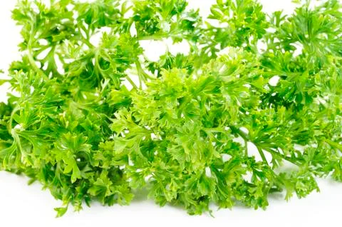 Parsley vegetable Stock Photos