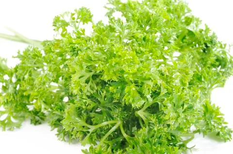 Parsley vegetable Stock Photos
