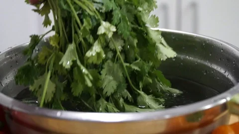 Parsley washes for salad. Stock Footage 100629893