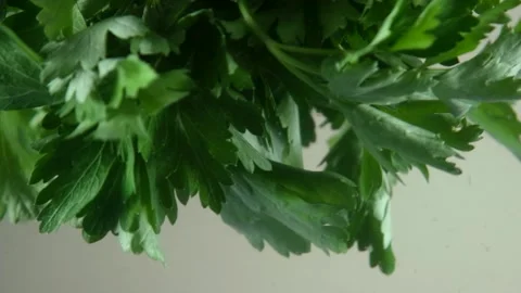Parsley in water Stock Footage 199134843