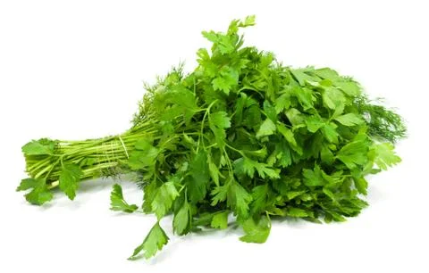 Parsley on a white background Stock Photos