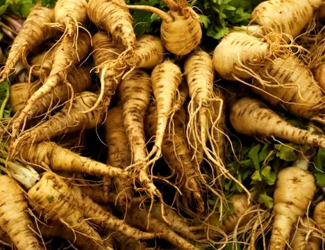 Parsnip Stock Photos