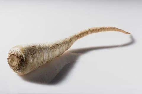 Parsnip root Stock Photos