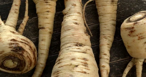 Parsnip roots. Stock Footage 293513981