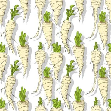 Parsnip roots repeating pattern editable vector template Stock Illustration