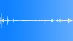 Parson Bird CU CallsSound Effect