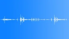 Parson Bird MCU CallsSound Effect