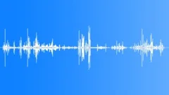 Parson Bird MCU ComplexSound Effect