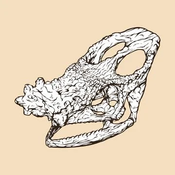 Parson's chameleon skull head vector illustration Stock Illustration