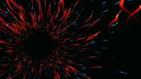 Part 11 Stock Footage 261586065