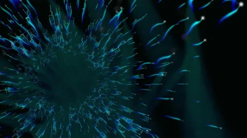 Part 12 Stock Footage 261586077