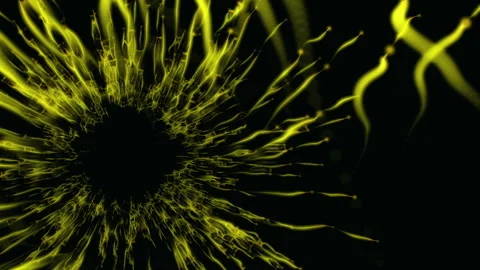 Part 14 Stock Footage 261586081