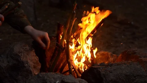 Part 2. Bonfire in the forest. Stock Footage 119277646
