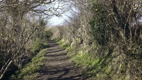 Part 3 of 4, Ride through empty countryside walking track. Stock Footage 86216780