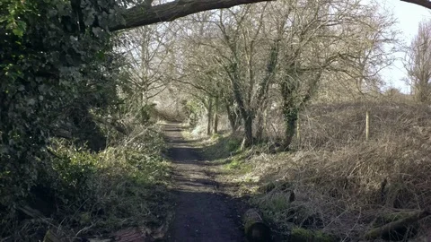 Part 4 of 4, Ride through empty countryside walking track. Stock Footage 86216870