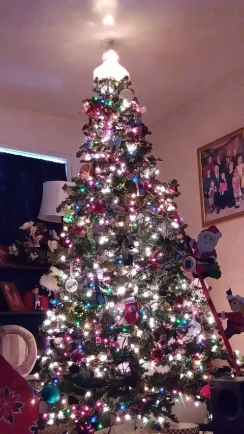 Part 7 of 7 complete trimmed tree shining lights Stock Footage 122264667