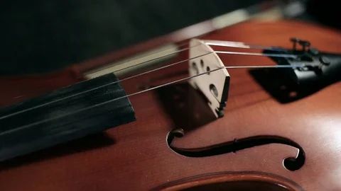 Part of aged violin on black background Stock Footage 73001717