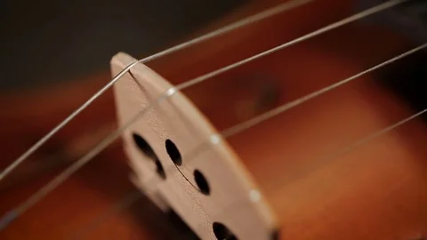 Part of aged violin on black background Video stock 73002134