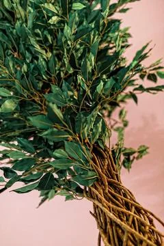 Part of an artificial tree made of wicker branches and fabric leaves Stock Photos