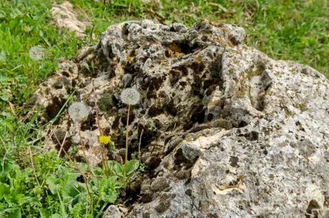Part of authentic rockery in field Stock Photos