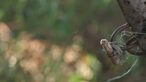 Part of the boat Stock Footage 85027622