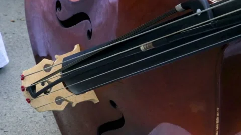 Part of brown contrabass with four strings stay on ground. Orchestra musicians Stock Footage 227950447