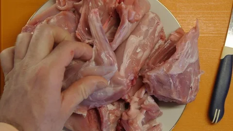 Part of the Carcass of a Rabbit Stock Footage 98151255